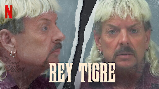Poster de Rey Tigre